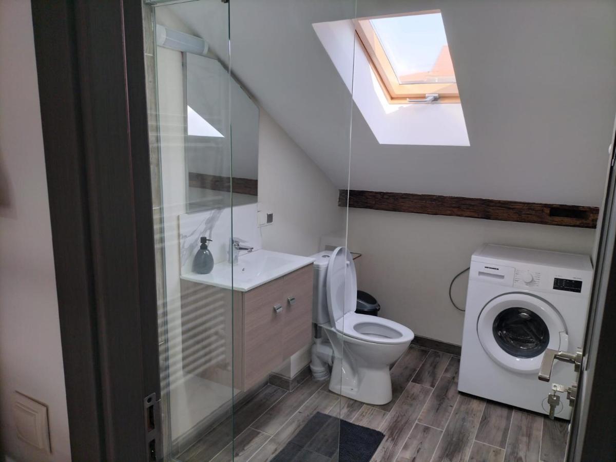 Cozy Loft Apartament Sighetu Marmaţiei Exterior foto